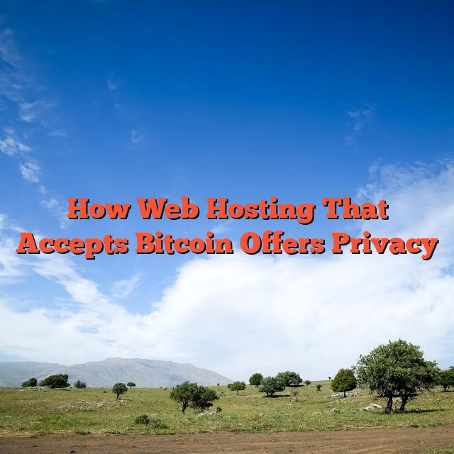 How Web Hosting That Accepts Bitcoin Offers Privacy